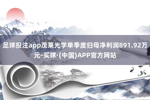 足球投注app茂莱光学单季度归母净利润891.92万元-买球·(中国)APP官方网站
