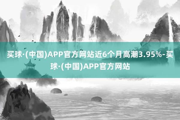 买球·(中国)APP官方网站近6个月高潮3.95%-买球·(中国)APP官方网站