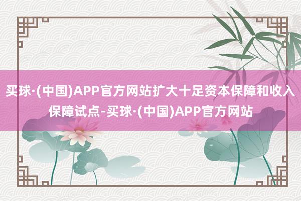 买球·(中国)APP官方网站扩大十足资本保障和收入保障试点-买球·(中国)APP官方网站