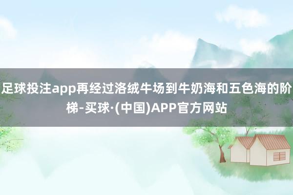 足球投注app再经过洛绒牛场到牛奶海和五色海的阶梯-买球·(中国)APP官方网站