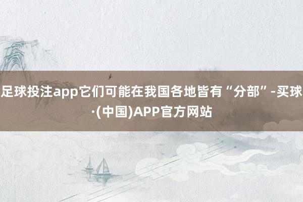 足球投注app它们可能在我国各地皆有“分部”-买球·(中国)APP官方网站