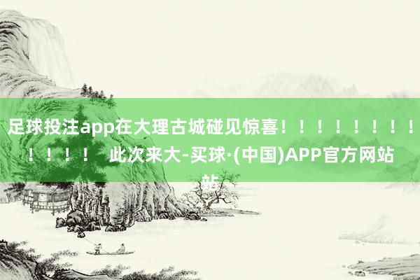 足球投注app在大理古城碰见惊喜!!!!!!!!!!!! 此次来大-买球·(中国)APP官方网站