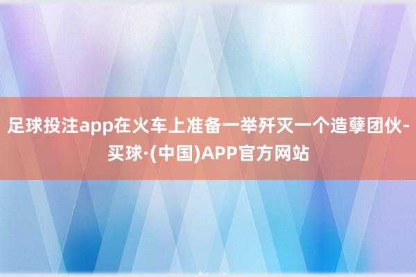 足球投注app在火车上准备一举歼灭一个造孽团伙-买球·(中国)APP官方网站