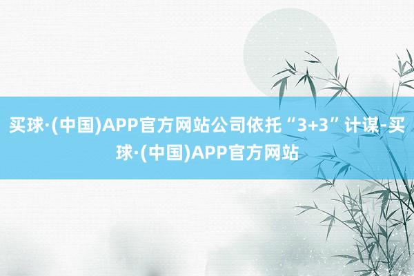 买球·(中国)APP官方网站公司依托“3+3”计谋-买球·(中国)APP官方网站