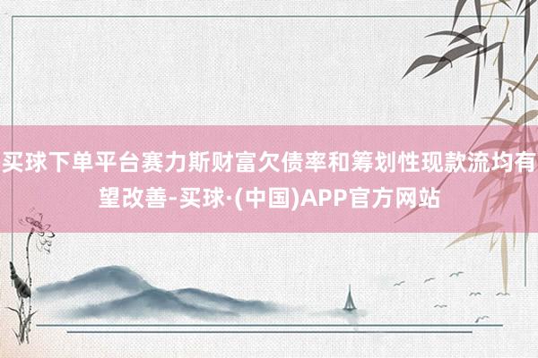 买球下单平台赛力斯财富欠债率和筹划性现款流均有望改善-买球·(中国)APP官方网站
