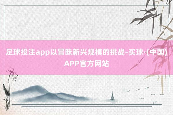 足球投注app以冒昧新兴规模的挑战-买球·(中国)APP官方网站
