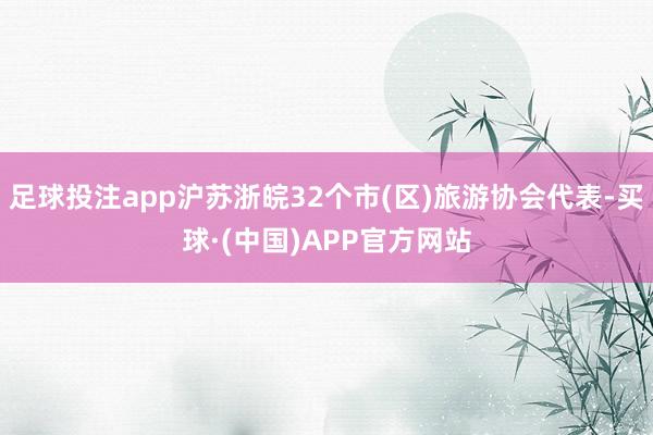 足球投注app沪苏浙皖32个市(区)旅游协会代表-买球·(中国)APP官方网站