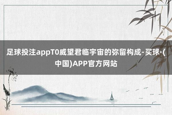 足球投注appT0威望君临宇宙的弥留构成-买球·(中国)APP官方网站
