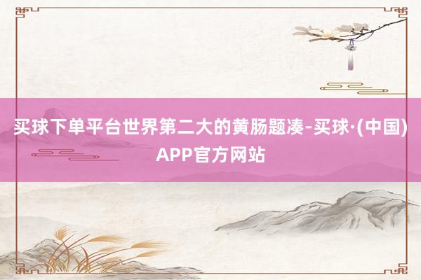 买球下单平台世界第二大的黄肠题凑-买球·(中国)APP官方网站