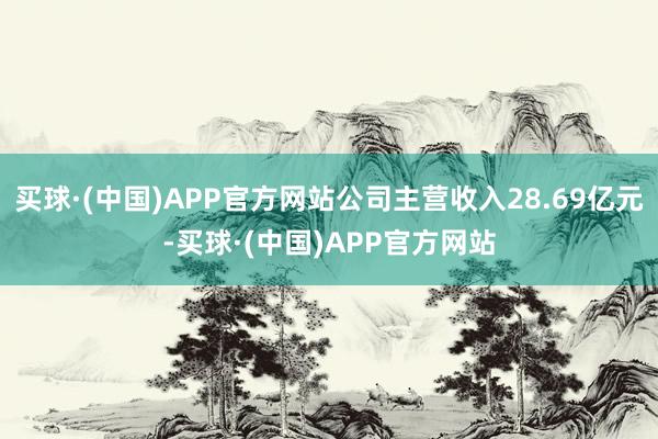 买球·(中国)APP官方网站公司主营收入28.69亿元-买球·(中国)APP官方网站