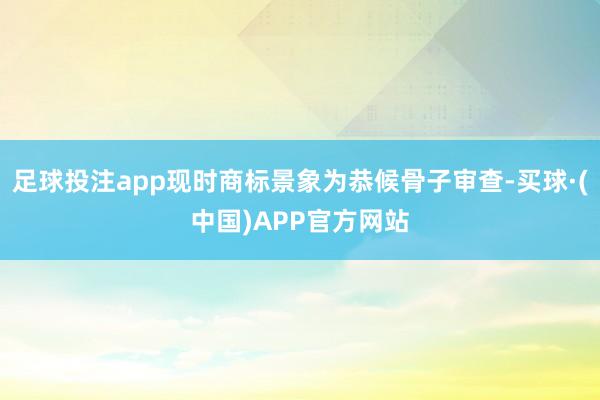 足球投注app现时商标景象为恭候骨子审查-买球·(中国)APP官方网站