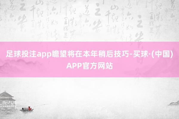 足球投注app瞻望将在本年稍后技巧-买球·(中国)APP官方网站