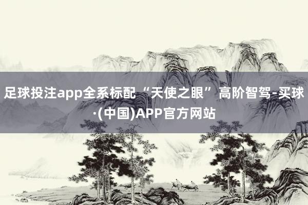 足球投注app全系标配 “天使之眼” 高阶智驾-买球·(中国)APP官方网站