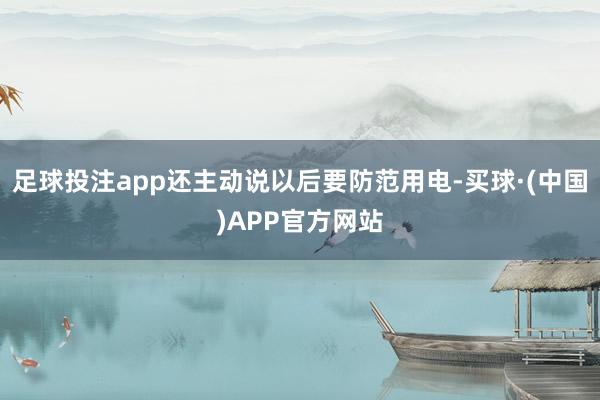 足球投注app还主动说以后要防范用电-买球·(中国)APP官方网站