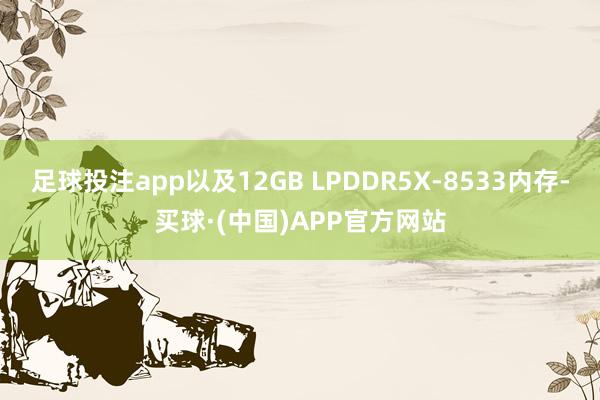 足球投注app以及12GB LPDDR5X-8533内存-买球·(中国)APP官方网站