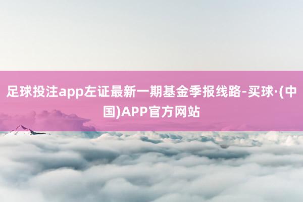 足球投注app左证最新一期基金季报线路-买球·(中国)APP官方网站