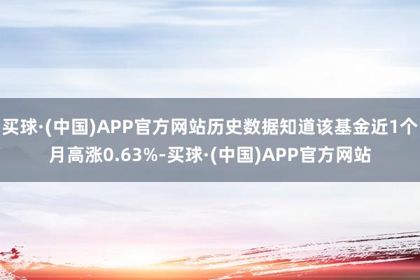买球·(中国)APP官方网站历史数据知道该基金近1个月高涨0.63%-买球·(中国)APP官方网站