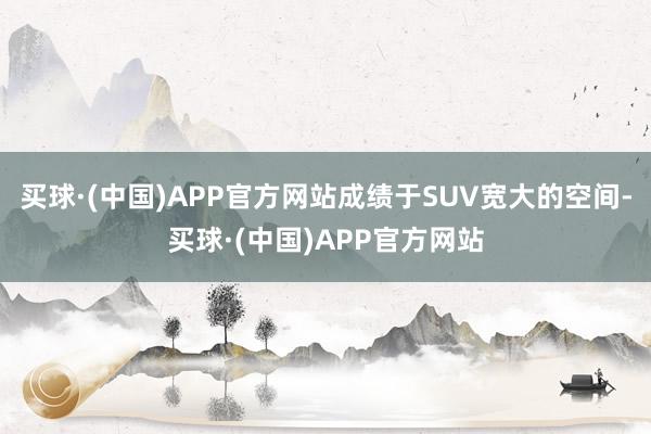 买球·(中国)APP官方网站成绩于SUV宽大的空间-买球·(中国)APP官方网站