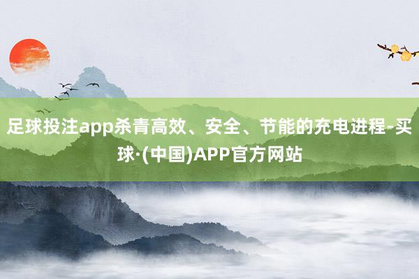 足球投注app杀青高效、安全、节能的充电进程-买球·(中国)APP官方网站