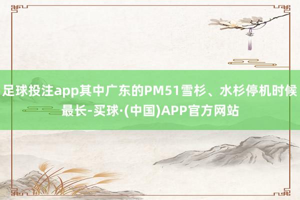 足球投注app其中广东的PM51雪杉、水杉停机时候最长-买球·(中国)APP官方网站