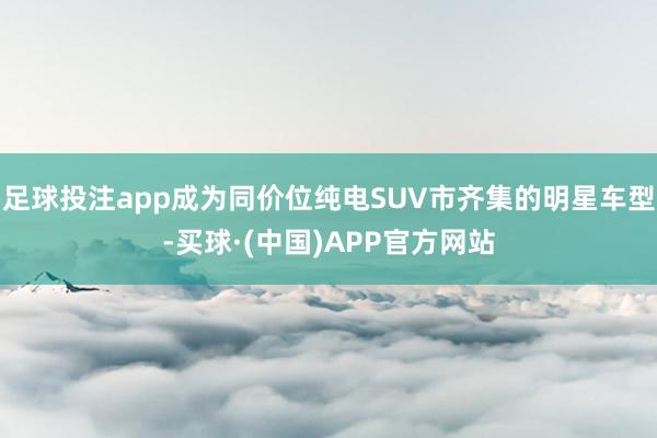 足球投注app成为同价位纯电SUV市齐集的明星车型-买球·(中国)APP官方网站