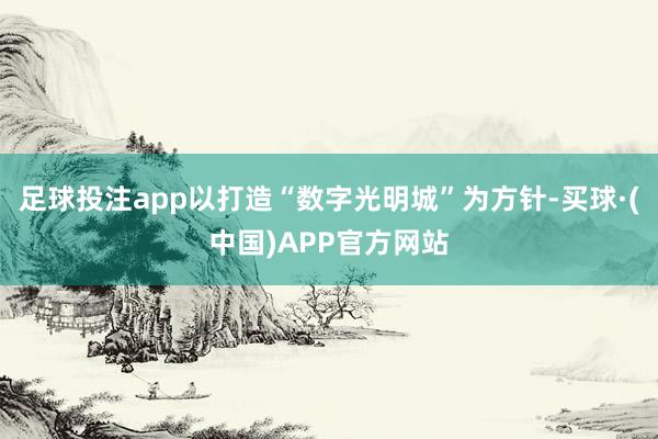 足球投注app以打造“数字光明城”为方针-买球·(中国)APP官方网站