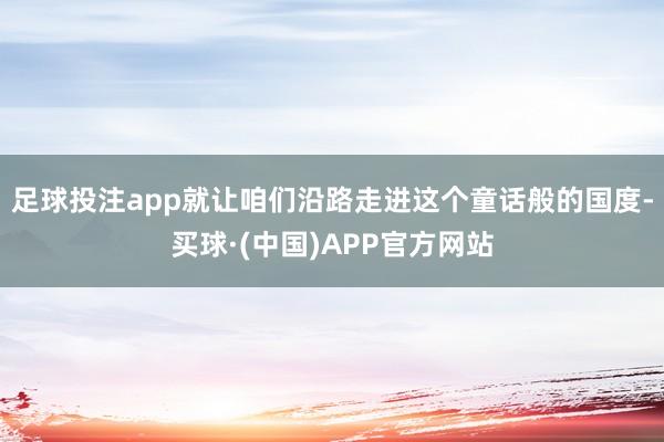 足球投注app就让咱们沿路走进这个童话般的国度-买球·(中国)APP官方网站