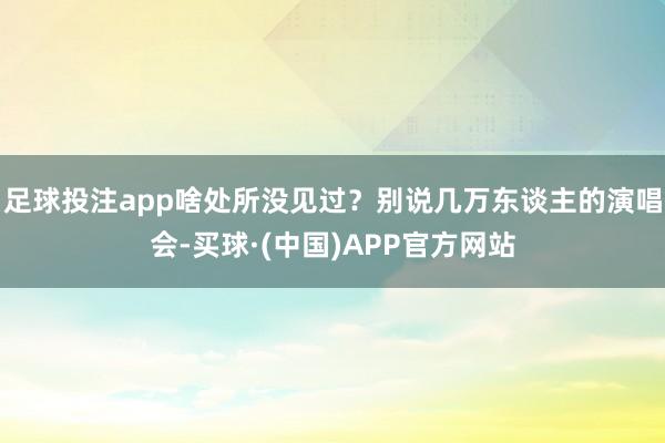 足球投注app啥处所没见过？别说几万东谈主的演唱会-买球·(中国)APP官方网站