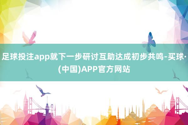 足球投注app就下一步研讨互助达成初步共鸣-买球·(中国)APP官方网站