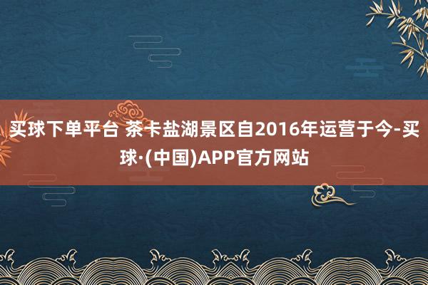 买球下单平台 茶卡盐湖景区自2016年运营于今-买球·(中国)APP官方网站