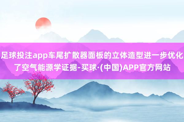 足球投注app车尾扩散器面板的立体造型进一步优化了空气能源学证据-买球·(中国)APP官方网站