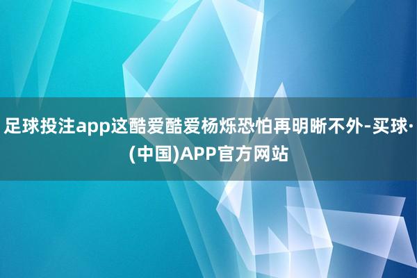 足球投注app这酷爱酷爱杨烁恐怕再明晰不外-买球·(中国)APP官方网站