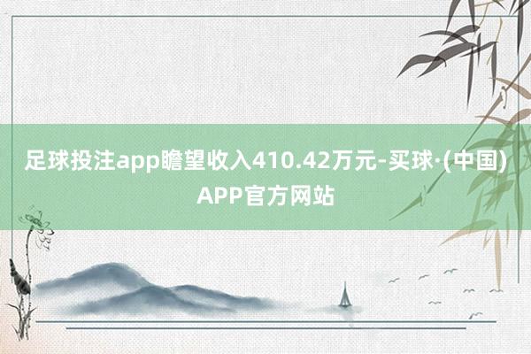 足球投注app瞻望收入410.42万元-买球·(中国)APP官方网站