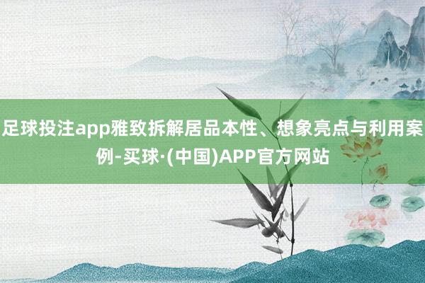 足球投注app雅致拆解居品本性、想象亮点与利用案例-买球·(中国)APP官方网站
