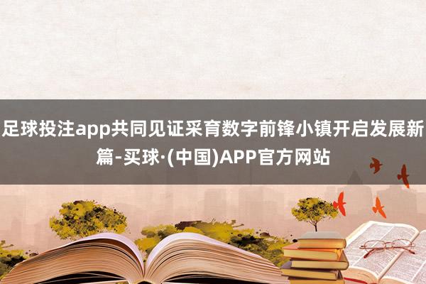 足球投注app共同见证采育数字前锋小镇开启发展新篇-买球·(中国)APP官方网站