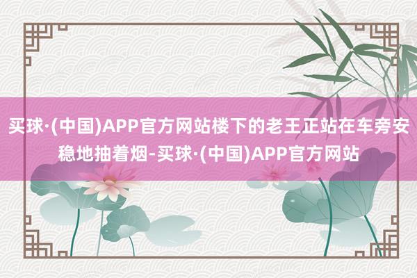 买球·(中国)APP官方网站楼下的老王正站在车旁安稳地抽着烟-买球·(中国)APP官方网站
