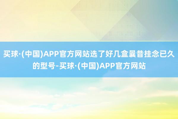买球·(中国)APP官方网站选了好几盒曩昔挂念已久的型号-买球·(中国)APP官方网站