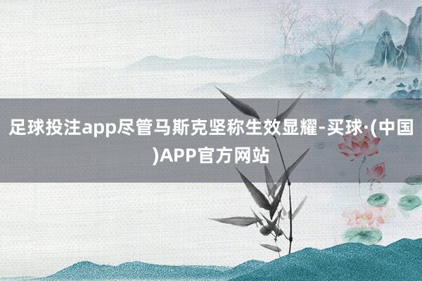 足球投注app尽管马斯克坚称生效显耀-买球·(中国)APP官方网站