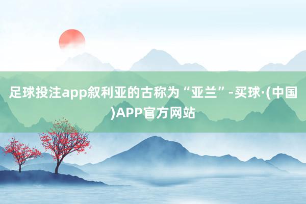 足球投注app叙利亚的古称为“亚兰”-买球·(中国)APP官方网站