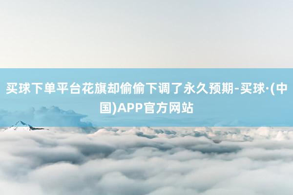 买球下单平台花旗却偷偷下调了永久预期-买球·(中国)APP官方网站