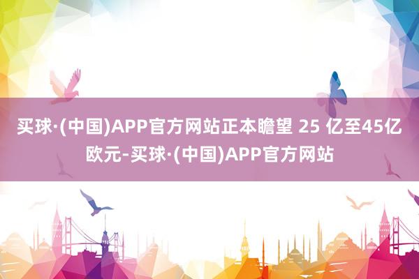 买球·(中国)APP官方网站正本瞻望 25 亿至45亿欧元-买球·(中国)APP官方网站