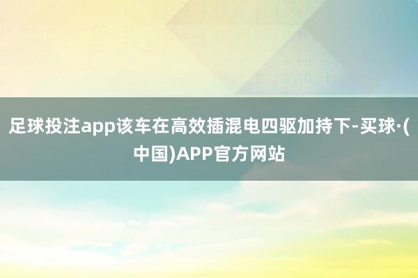 足球投注app该车在高效插混电四驱加持下-买球·(中国)APP官方网站