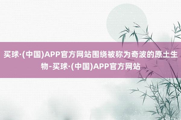 买球·(中国)APP官方网站围绕被称为奇波的原土生物-买球·(中国)APP官方网站