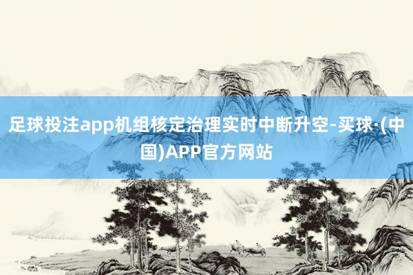 足球投注app机组核定治理实时中断升空-买球·(中国)APP官方网站