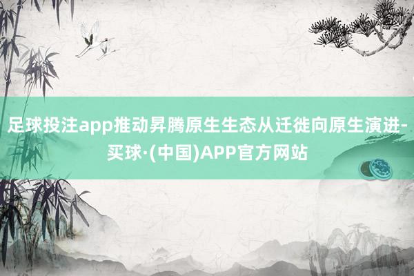 足球投注app推动昇腾原生生态从迁徙向原生演进-买球·(中国)APP官方网站