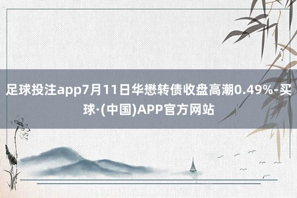 足球投注app7月11日华懋转债收盘高潮0.49%-买球·(中国)APP官方网站
