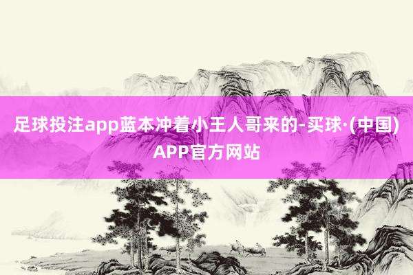 足球投注app蓝本冲着小王人哥来的-买球·(中国)APP官方网站