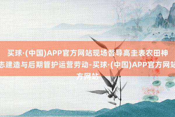 买球·(中国)APP官方网站现场督导高圭表农田神志建造与后期管护运营劳动-买球·(中国)APP官方网站