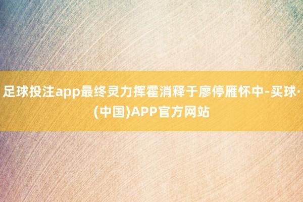 足球投注app最终灵力挥霍消释于廖停雁怀中-买球·(中国)APP官方网站