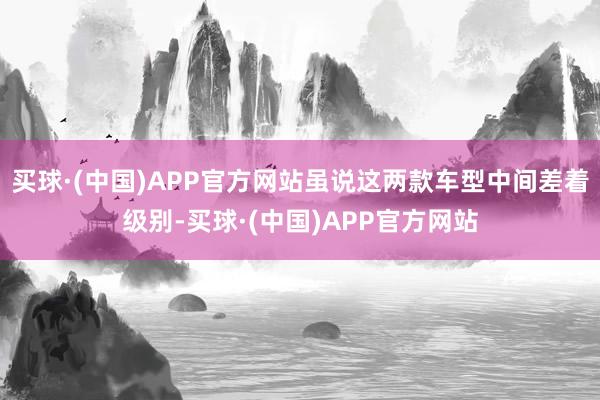 买球·(中国)APP官方网站虽说这两款车型中间差着级别-买球·(中国)APP官方网站